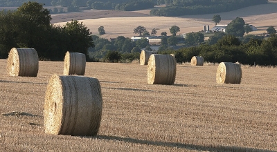Bando ad Altiora - Progetto fattorie dei saperi e delle opportunit&agrave; - Alta Marmilla
