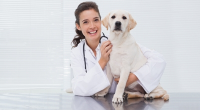 Giornata per l&rsquo;applicazione del microchip e iscrizione all&rsquo;anagrafe canina &ndash; 28 luglio 2021
